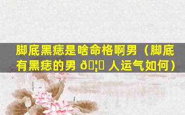 脚底黑痣是啥命格啊男（脚底有黑痣的男 🦁 人运气如何）